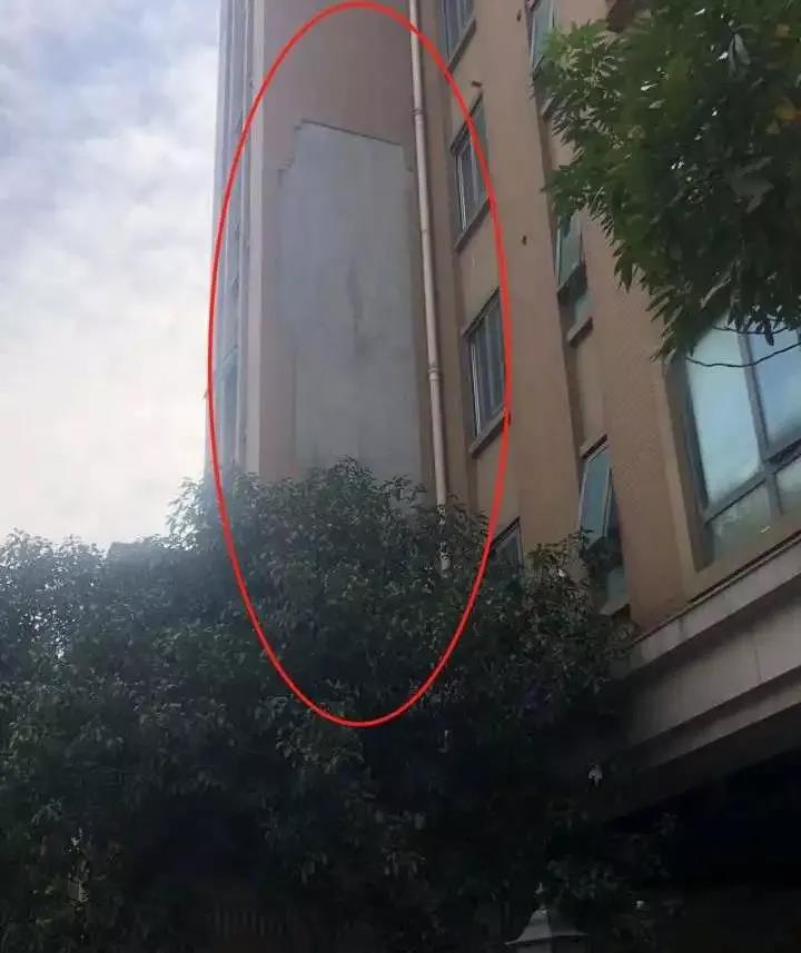 1637895775688102.jpg 002.jpg